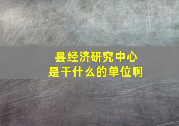 县经济研究中心是干什么的单位啊