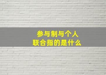 参与制与个人联合指的是什么