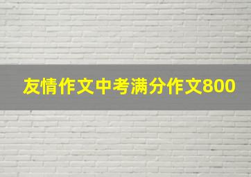 友情作文中考满分作文800