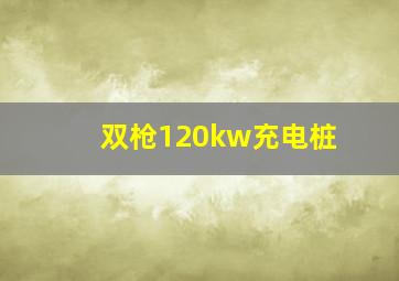 双枪120kw充电桩