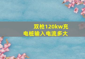 双枪120kw充电桩输入电流多大