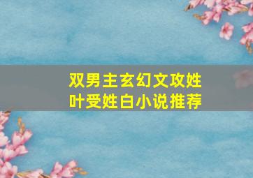 双男主玄幻文攻姓叶受姓白小说推荐