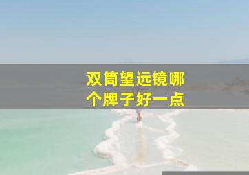 双筒望远镜哪个牌子好一点