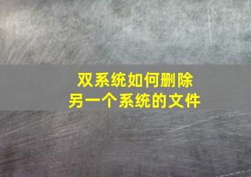 双系统如何删除另一个系统的文件