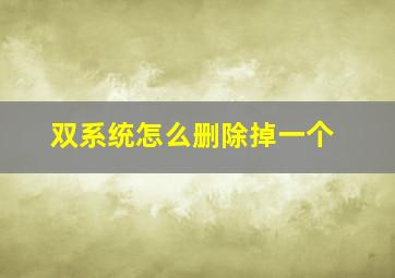 双系统怎么删除掉一个