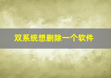 双系统想删除一个软件