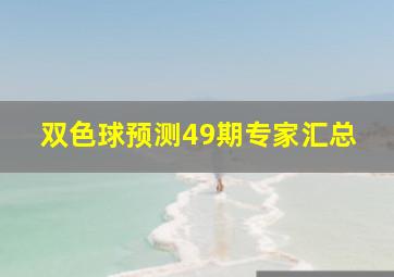 双色球预测49期专家汇总