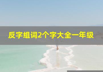 反字组词2个字大全一年级