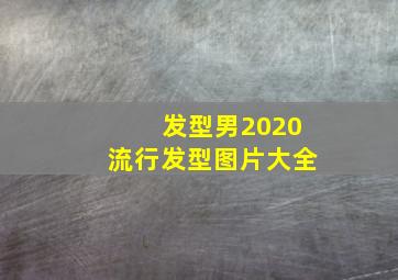 发型男2020流行发型图片大全