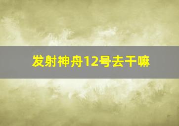 发射神舟12号去干嘛