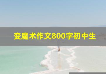 变魔术作文800字初中生