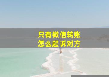 只有微信转账怎么起诉对方