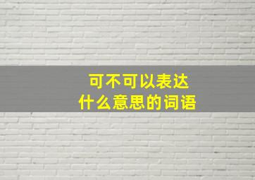 可不可以表达什么意思的词语