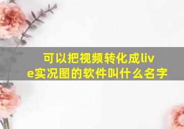 可以把视频转化成live实况图的软件叫什么名字