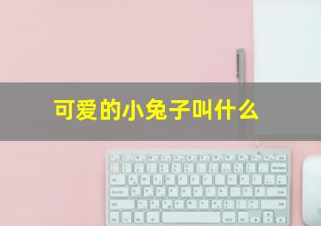 可爱的小兔子叫什么