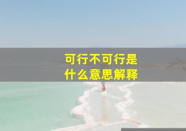 可行不可行是什么意思解释