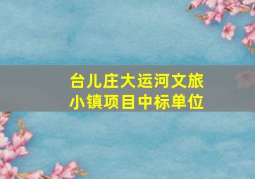 台儿庄大运河文旅小镇项目中标单位