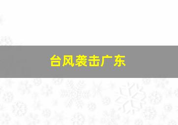 台风袭击广东