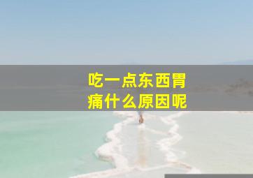 吃一点东西胃痛什么原因呢