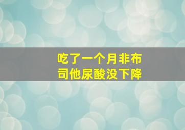 吃了一个月非布司他尿酸没下降