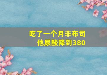 吃了一个月非布司他尿酸降到380