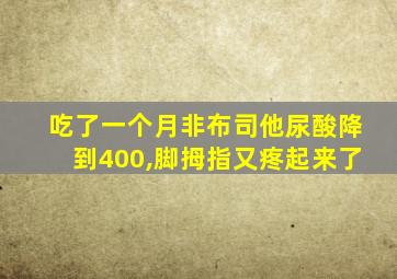 吃了一个月非布司他尿酸降到400,脚拇指又疼起来了