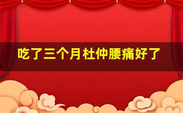 吃了三个月杜仲腰痛好了