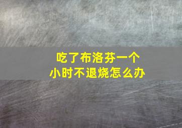 吃了布洛芬一个小时不退烧怎么办