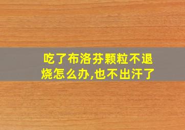 吃了布洛芬颗粒不退烧怎么办,也不出汗了