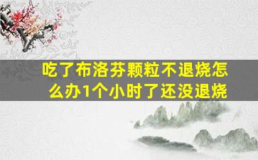 吃了布洛芬颗粒不退烧怎么办1个小时了还没退烧