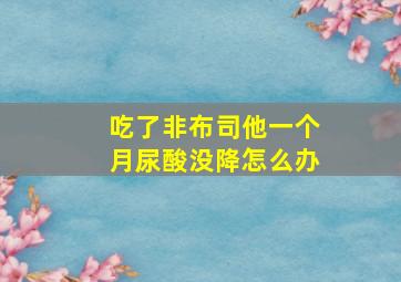 吃了非布司他一个月尿酸没降怎么办