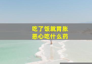 吃了饭就胃胀恶心吃什么药