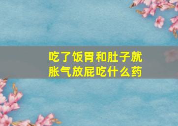 吃了饭胃和肚子就胀气放屁吃什么药