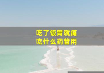 吃了饭胃就痛吃什么药管用