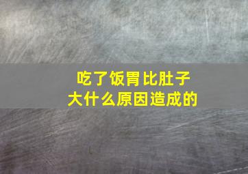 吃了饭胃比肚子大什么原因造成的