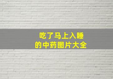 吃了马上入睡的中药图片大全