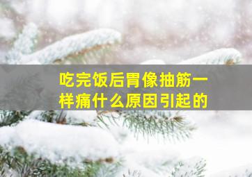 吃完饭后胃像抽筋一样痛什么原因引起的