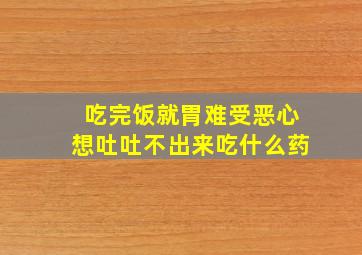 吃完饭就胃难受恶心想吐吐不出来吃什么药