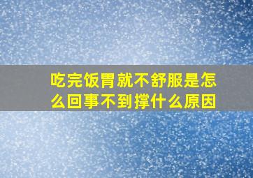 吃完饭胃就不舒服是怎么回事不到撑什么原因