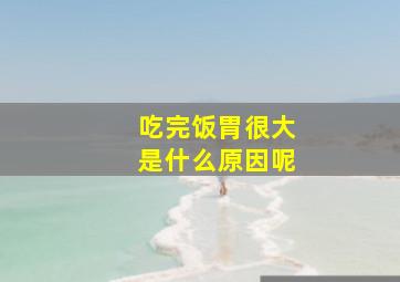 吃完饭胃很大是什么原因呢