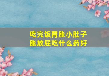 吃完饭胃胀小肚子胀放屁吃什么药好