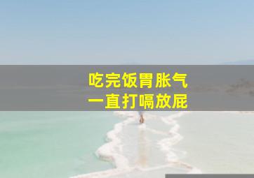 吃完饭胃胀气一直打嗝放屁