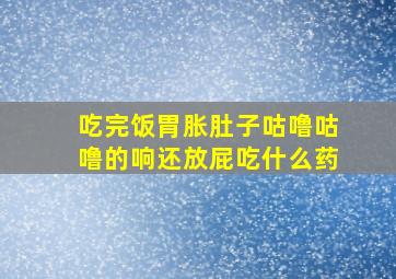 吃完饭胃胀肚子咕噜咕噜的响还放屁吃什么药