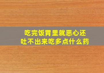 吃完饭胃里就恶心还吐不出来吃多点什么药