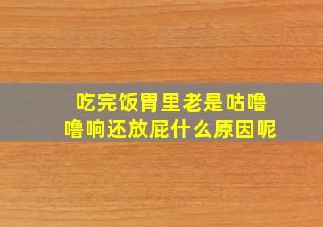 吃完饭胃里老是咕噜噜响还放屁什么原因呢