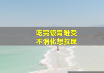 吃完饭胃难受不消化想拉屎