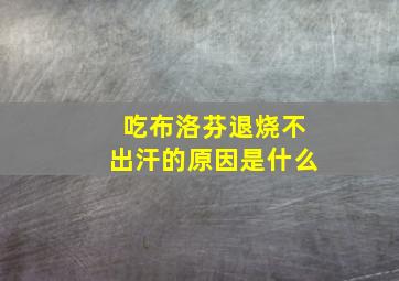 吃布洛芬退烧不出汗的原因是什么