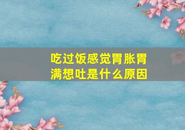 吃过饭感觉胃胀胃满想吐是什么原因