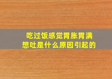 吃过饭感觉胃胀胃满想吐是什么原因引起的