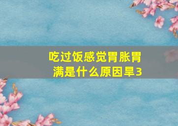 吃过饭感觉胃胀胃满是什么原因旱3